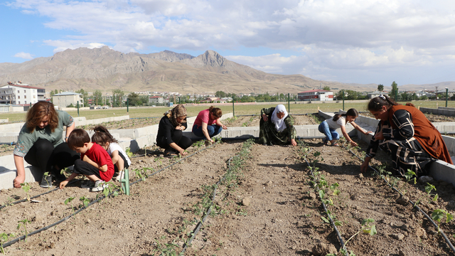 Vanlı kadınlar, belediyenin desteğiyle kurulan bostanlarda sebze yetiştiriyor