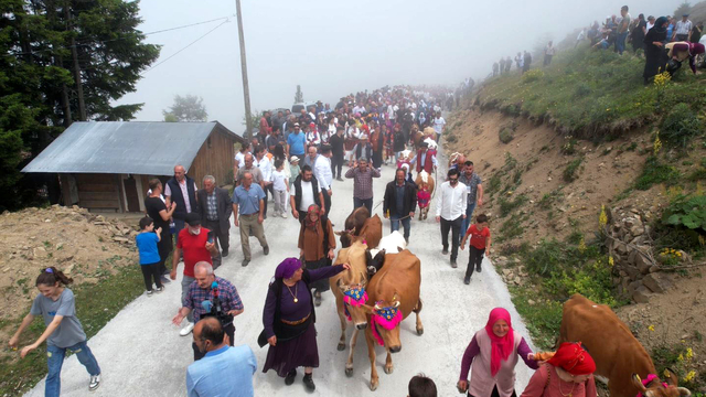 Trabzon'da süslü hayvanlar ve yöresel kıyafetlerle geleneksel yayla göçü