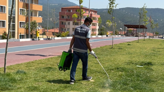 Karabük'ten kısa kısa