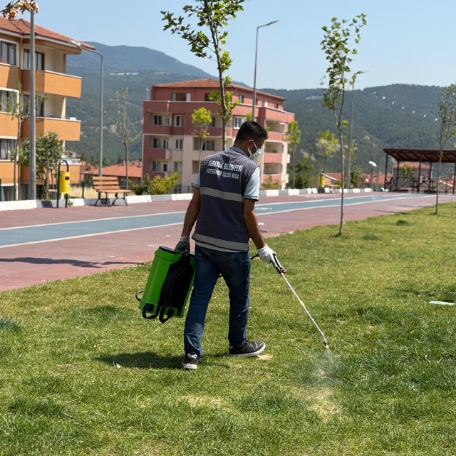 Karabük'ten kısa kısa