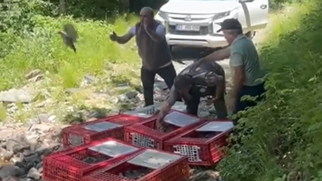 Bursa'da 1400 keklik doğayla buluştu