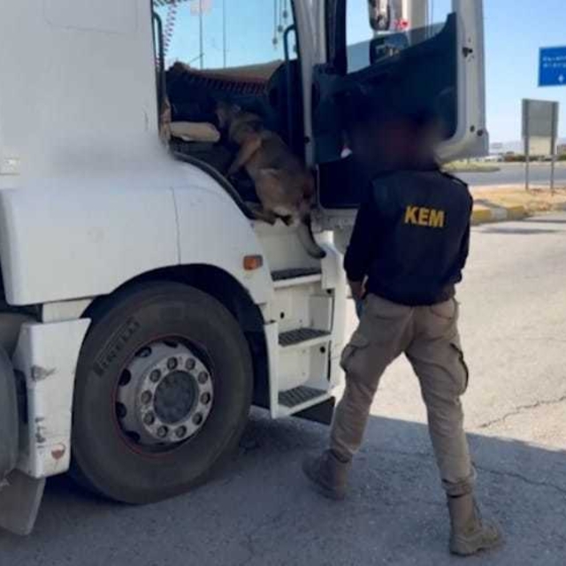 Kamyondaki uyuşturucuyu 'Alfa' buldu
