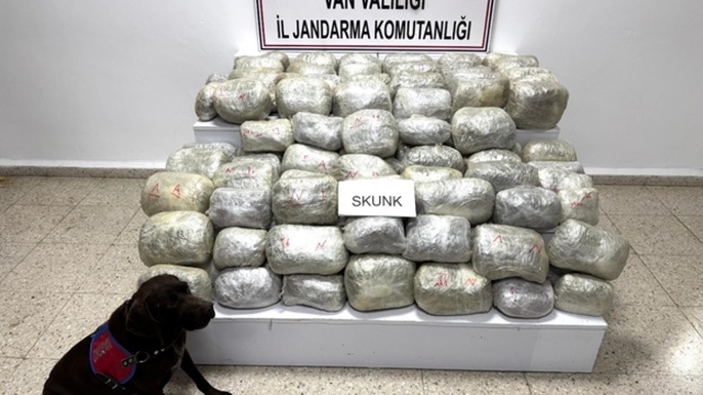 Van'da 70 kilo skunk ele geçirildi