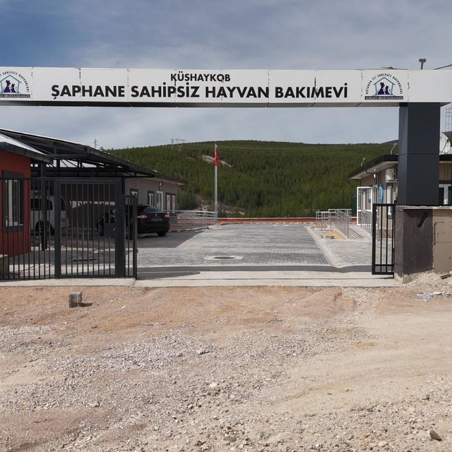 Kütahya'ya 20 bin kapasiteli hayvan barınağı