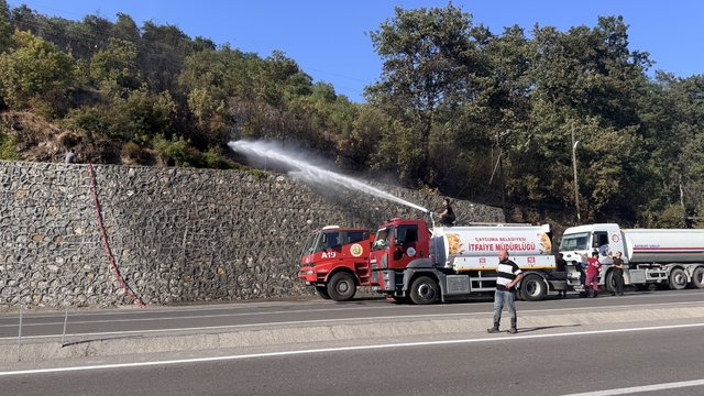 Zonguldak'ta çıkan örtü yangını kontrol altına alındı