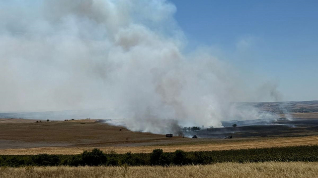 Tekirdağ'da çıkan anız yangını söndürüldü