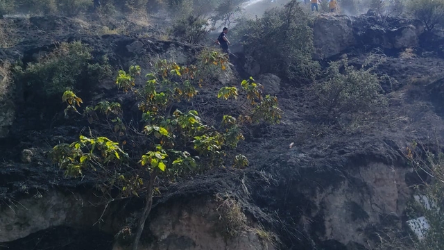 Afyonkarahisar'da ağaçlık alanda çıkan yangın söndürüldü