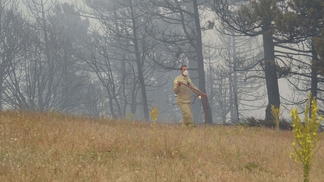 Konya'da orman yangını (2)