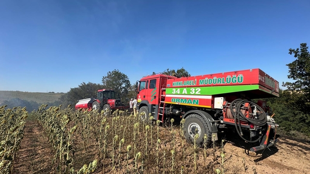 Kırklareli'nde ağaçlık alana sıçrayan anız yangını söndürüldü