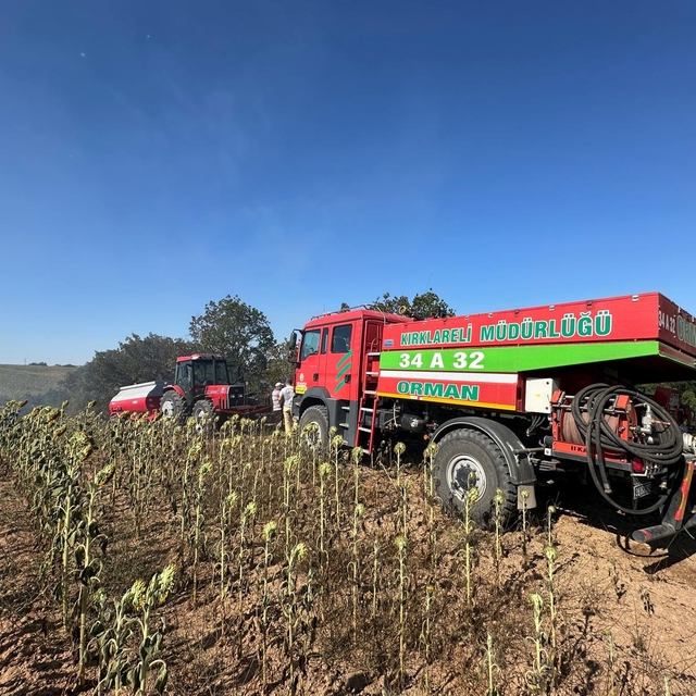 Kırklareli'nde ağaçlık alana sıçrayan anız yangını söndürüldü