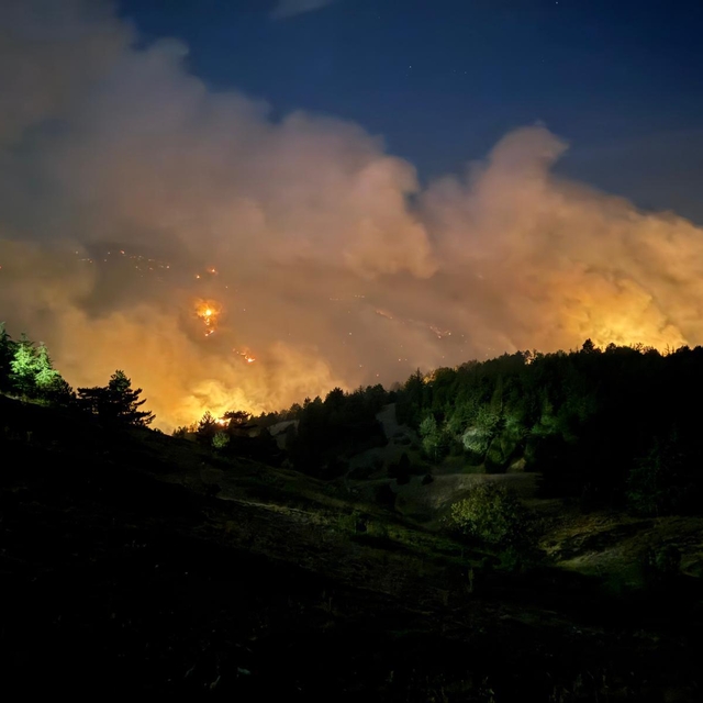 Konya'da çıkan orman yangınına müdahale sürüyor