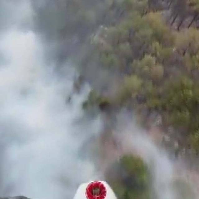 Konya'daki orman yangını 2'nci gününde