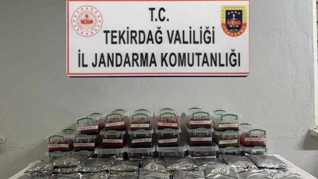 Tekirdağ'da uyuşturucuyla yakalanan 4 şüpheli gözaltına alındı