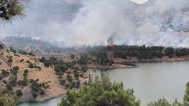 Adıyaman'da orman yangını