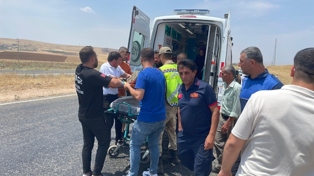 Siirt'te devrilen otomobilin sürücüsü yaralandı