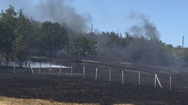 Bartın'da anız yangını ormana sıçradı