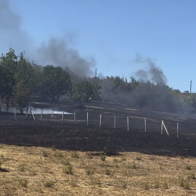 Bartın'da anız yangını ormana sıçradı