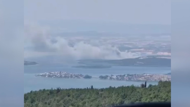 Bursa'da sazlık yangını