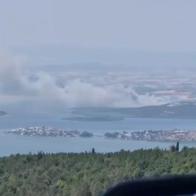 Bursa'da sazlık yangını