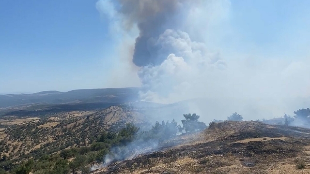 Çanakkale'de orman yangını