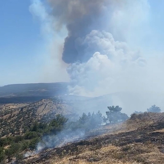 Çanakkale'de orman yangını