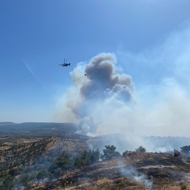 Çanakkale'de çıkan orman yangınına müdahale ediliyor