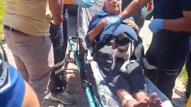 Kazada yaralanan sahibinin ambulansta da başından ayrılmadı