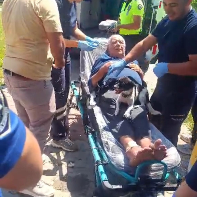 Kazada yaralanan sahibinin ambulansta da başından ayrılmadı