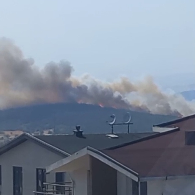 Bursa'da orman yangını