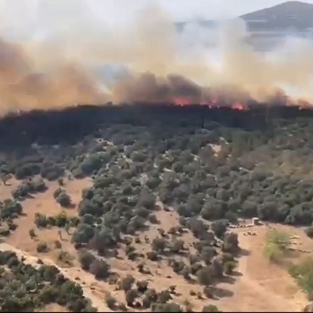 Bursa'da sazlık yangını (2)