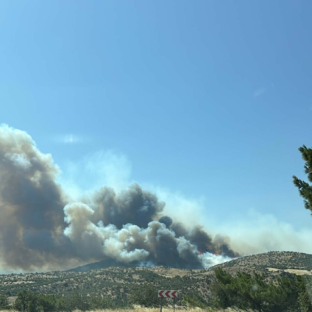 Çanakkale'de orman yangını (2)