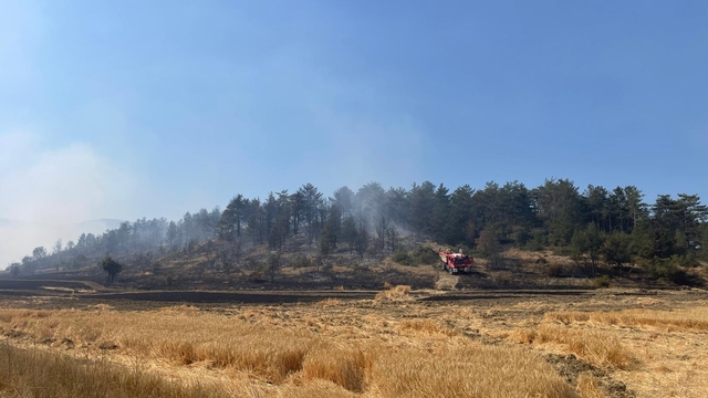 Bolu'da ormanlık alanda çıkan yangın kontrol altına alındı