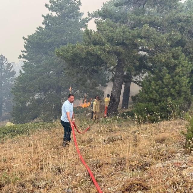 Konya'daki orman yangını 2'nci gününde  (2)