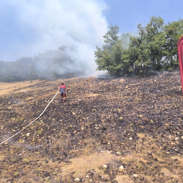 Çorum'da tarlada çıkan yangın ormana sıçramadan söndürüldü