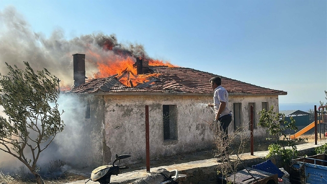 Çanakkale'de orman yangını (3)