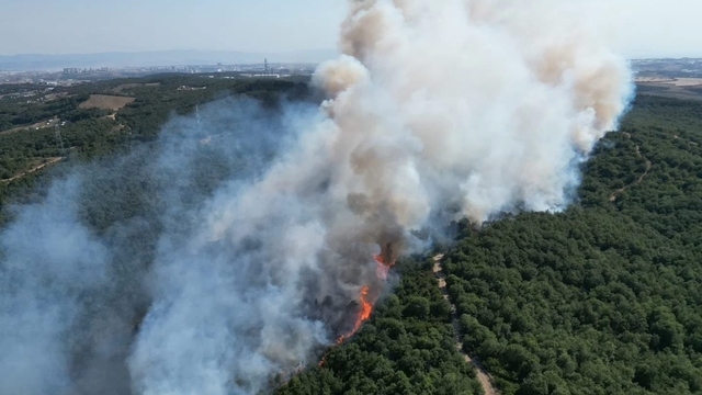 Kocaeli'de orman yangını (2)