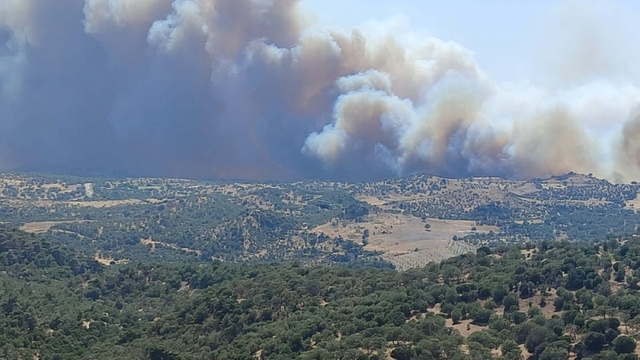 Çanakkale'de orman yangını (4)