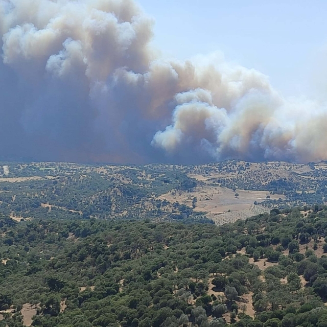 Çanakkale'de orman yangını (4)