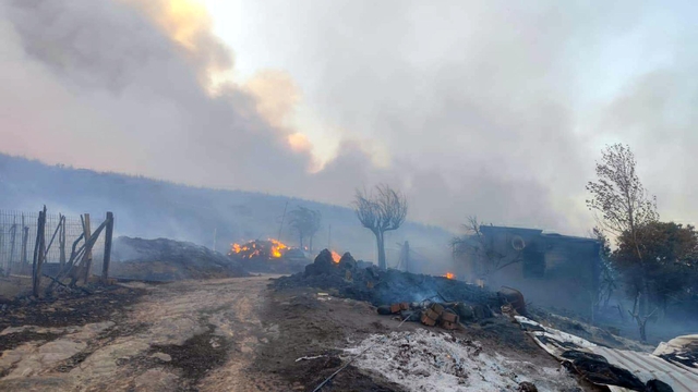 Tekirdağ'da orman yangını (2)