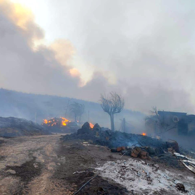 Tekirdağ'da orman yangını (2)