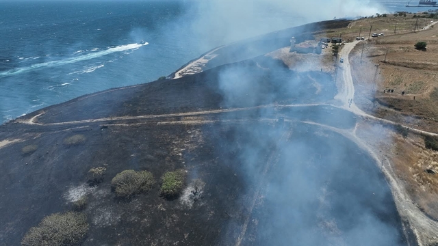Tekirdağ'da çıkan anız yangını söndürüldü
