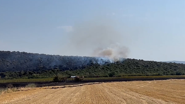 Bursa'da orman yangını (2)