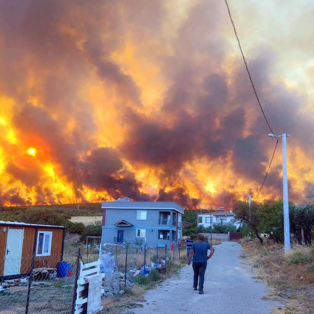 Tekirdağ'da orman yangını (3)