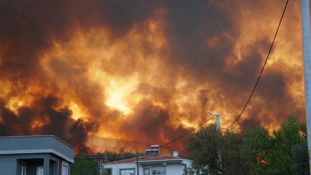 GÜNCELLEME 3 - Tekirdağ'da anız yangını ormana sıçradı