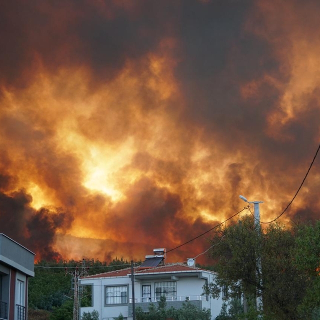 GÜNCELLEME 3 - Tekirdağ'da anız yangını ormana sıçradı