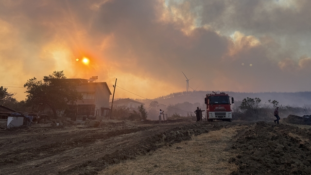GÜNCELLEME 4 - Tekirdağ'da anız yangını ormana sıçradı