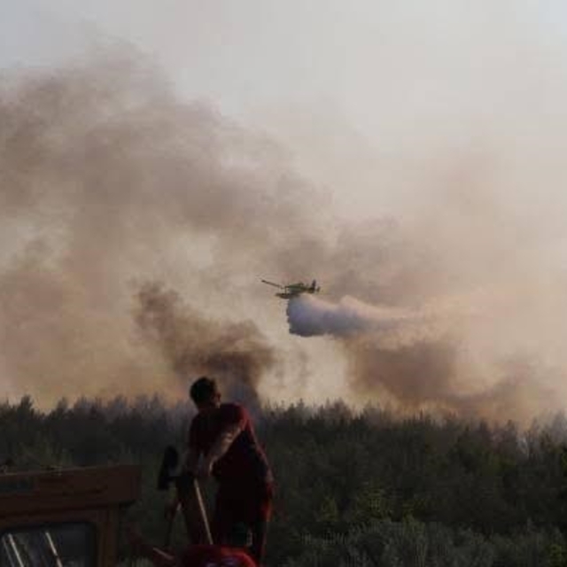 Manisa'da 2 noktada orman yangını; 2 gözaltı