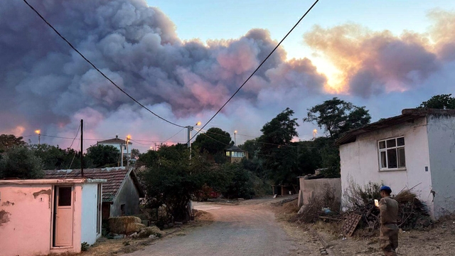 Tekirdağ'da orman yangını (4)