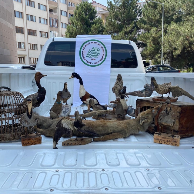 Afyonkarahisar'da 14 hayvan tahniti ele geçirildi