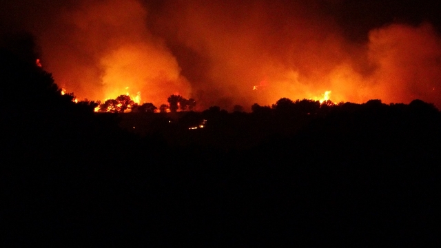 Çanakkale'de orman yangını (5)